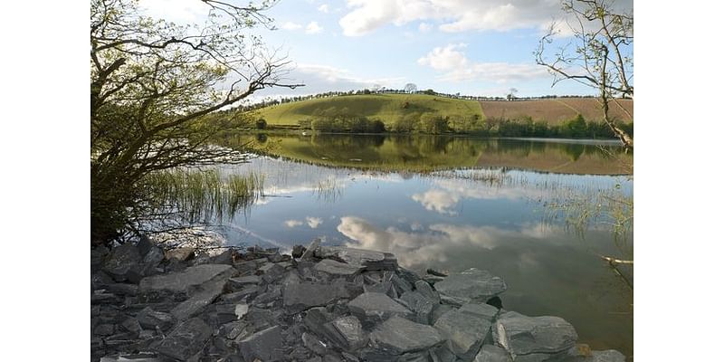 Wicklow County Council launches public consultation for pre-draft biodiversity plan