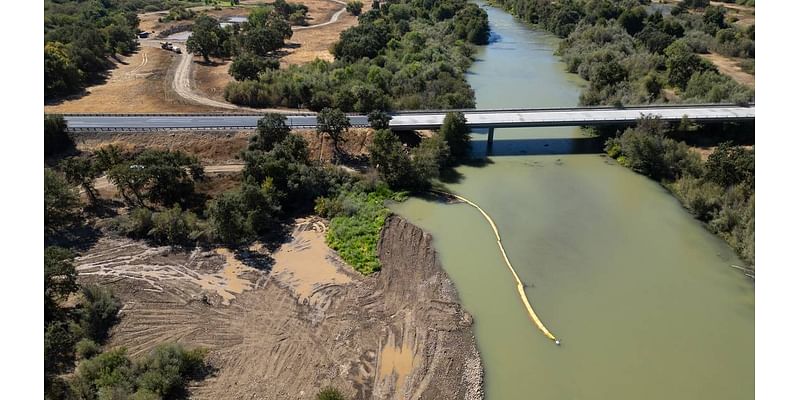 Bulldozers rip up Tuolumne River banks east of Modesto. The goal is better fish habitat