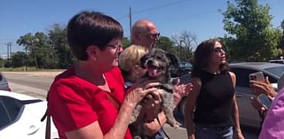 As Waco Animal Shelter revamps volunteer process, city employees reportedly being paid overtime to walk dogs