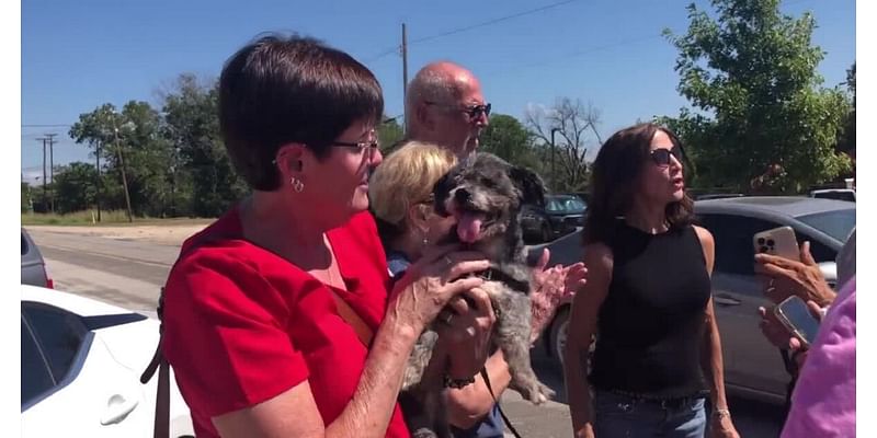 As Waco Animal Shelter revamps volunteer process, city employees reportedly being paid overtime to walk dogs