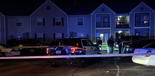 Springfield boy dies in Sunday night shooting in Peoria