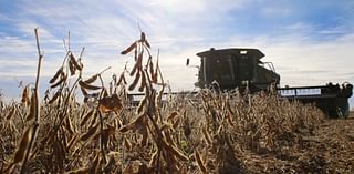 U.S. Soybean Export Council looks to leave people hungry for more