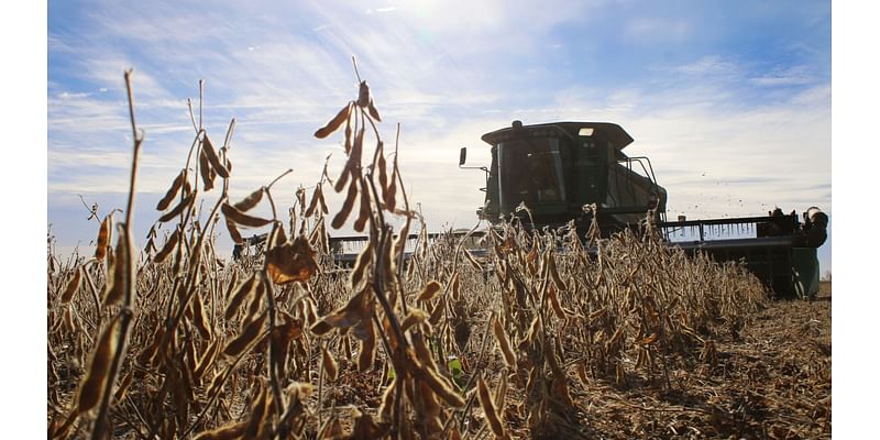 U.S. Soybean Export Council looks to leave people hungry for more