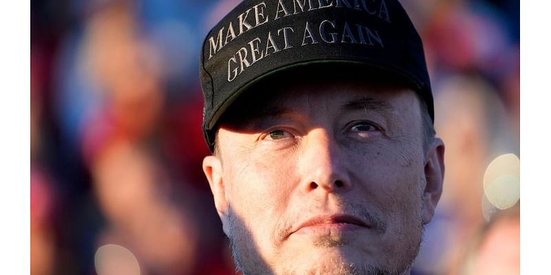 Elon Musk joined Trump on Zelenskyy congratulatory call, official says