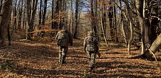 Talking (Wild) Turkey, Vermont's Second-Most Hunted Species