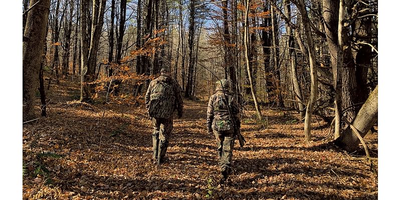 Talking (Wild) Turkey, Vermont's Second-Most Hunted Species