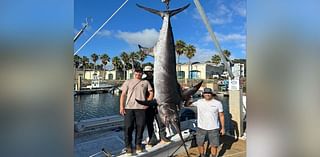 Fishermen catch 492-pound swordfish off coast of San Diego