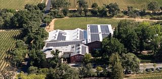 Calistoga's Frank Family Vineyards adds more than 800 solar panels