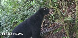 Paddington: Research project helps real