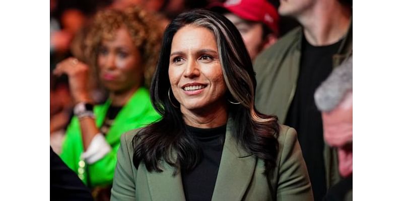 Tulsi Gabbard’s Nomination for Key Intelligence Post Raises Red Flags