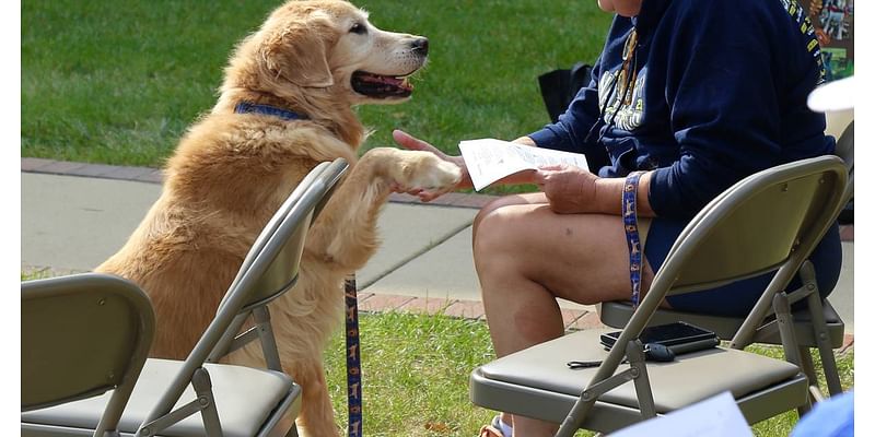 ‘Angels on Earth’: Pets receive blessings at Geneva Lutheran Church