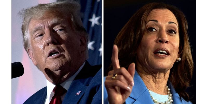 Where Trump, Harris stand on the economy, wages, and taxes