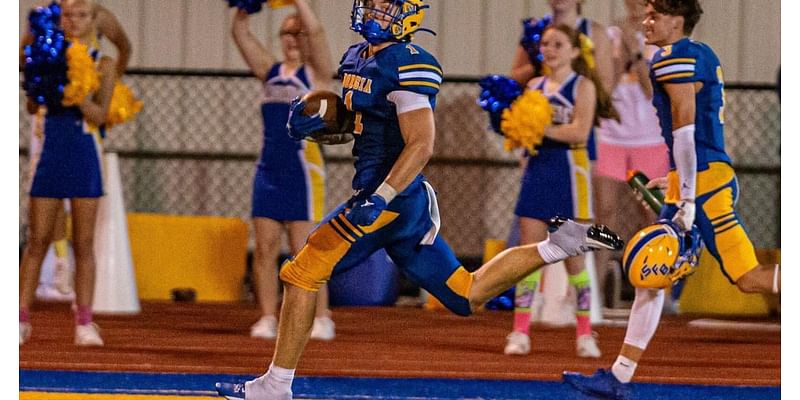 Hayden Wolfe leads inspired effort as Borgia cruises past St. Dominic