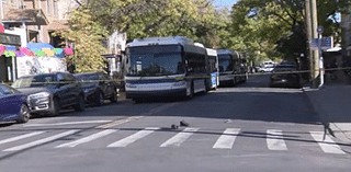 Man killed in hit-and-run in Bushwick: NYPD