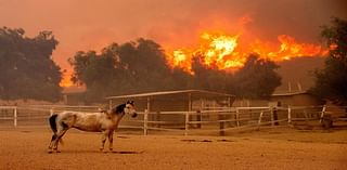 Southern California firefighters make progress against wildfire as fierce winds start to subside