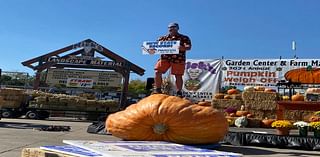 Aurora firefighter smashes Colorado pumpkin record with one