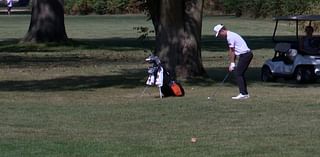 Sectional medalists ready to prove Mid-Illini golfers are among the state’s best