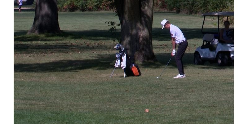 Sectional medalists ready to prove Mid-Illini golfers are among the state’s best