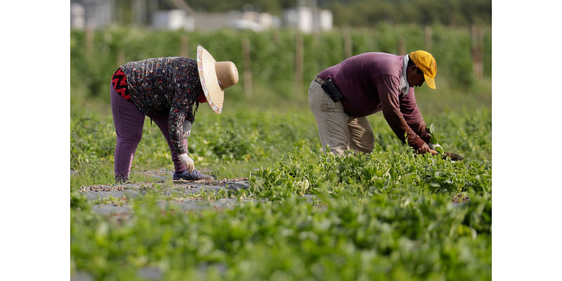 Need to go to the hospital? Florida and Texas want to know your immigration status