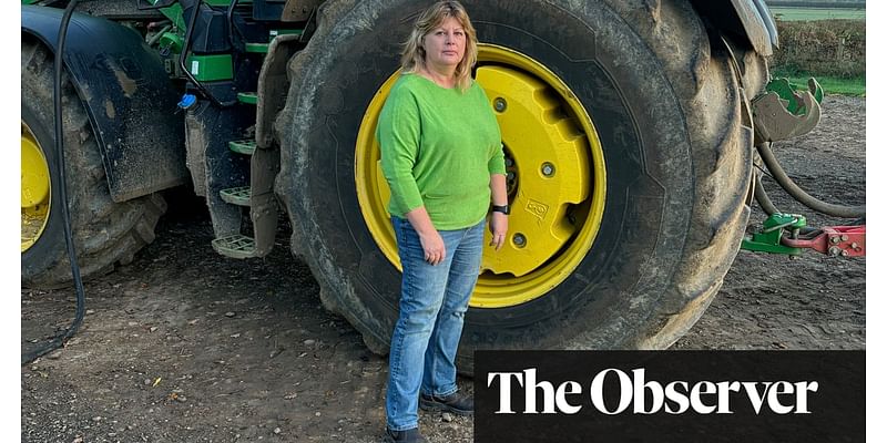 ‘You can’t keep coming for agriculture’: farmers prepare to protest over bitter budget harvest