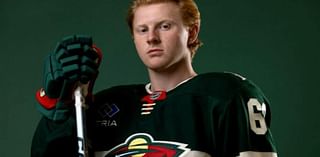 Wild-Sharks game preview: Michael Milne called up from Iowa