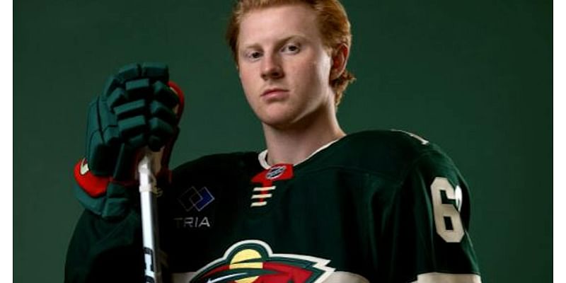 Wild-Sharks game preview: Michael Milne called up from Iowa