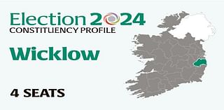 Wicklow Election 2024: Who are the candidates and who could make gains? Everything you need to know before voting