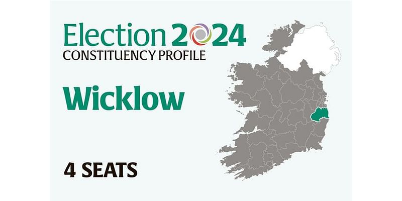 Wicklow Election 2024: Who are the candidates and who could make gains? Everything you need to know before voting