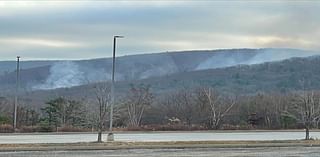 Brush fire burns overnight in Lackawanna County