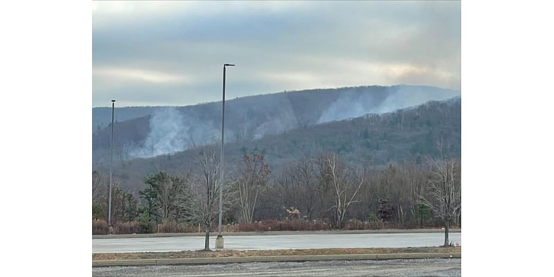 Brush fire burns overnight in Lackawanna County