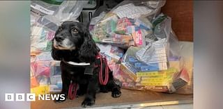 Newark: Illegal vapes worth £18k seized in shop raids