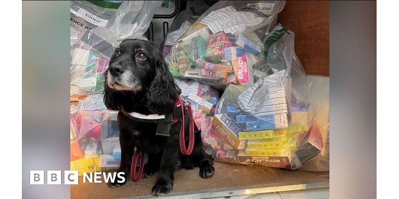 Newark: Illegal vapes worth £18k seized in shop raids