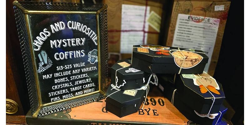 La Salle’s Chaos and Curiosities embraces the quirky and spooky