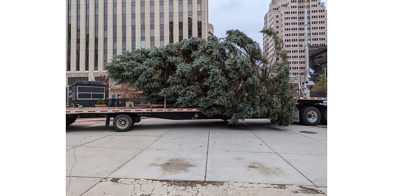 Daytonnenbaum: Tree arrives downtown for this year’s Holiday Festival