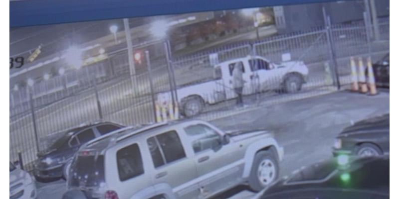 Video captures botched catalytic converter theft at Detroit car dealership; Police searching for suspects