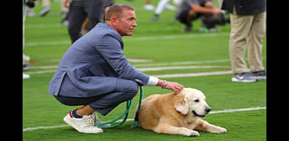 Why People Are So Saddened By The Death Of Ben, Kirk Herbstreit's Golden Retriever