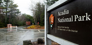 Cyclist who crashed in Acadia has died