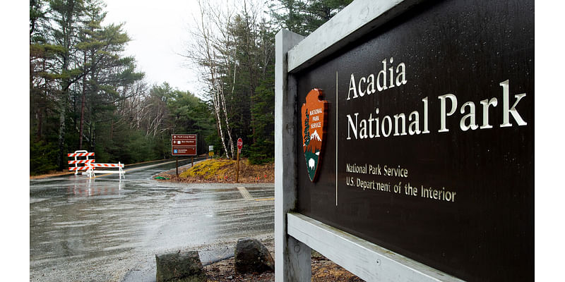 Cyclist who crashed in Acadia has died