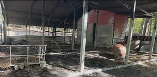 Bartow County farm animals face long recovery after deadly barn fire