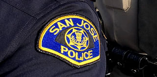 Man clearing tree limb from roadway struck and killed in San Jose