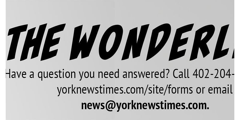 Wonderline: Readers ask about Thanksgiving traditions