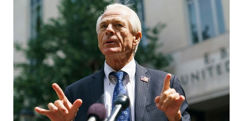 Navarro: ‘We’re not going to have a Trump Cabinet’ with Thune or Cornyn leading Senate GOP