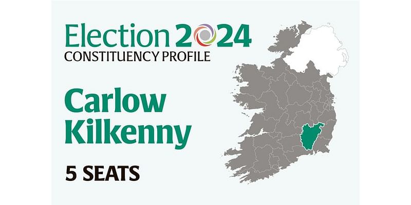 Carlow-Kilkenny Election 2024: Who are the candidates and who could make gains? Everything you need to know before voting