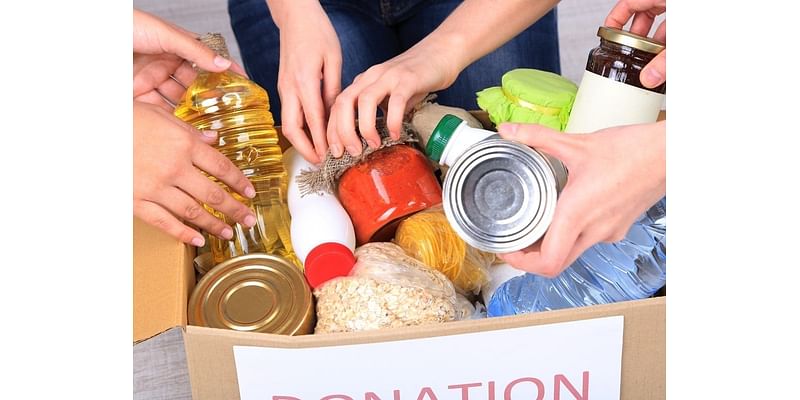 Hillsborough High School Thespian Troupe Hosts Non-Perishable Drive To Combat Child Hunger