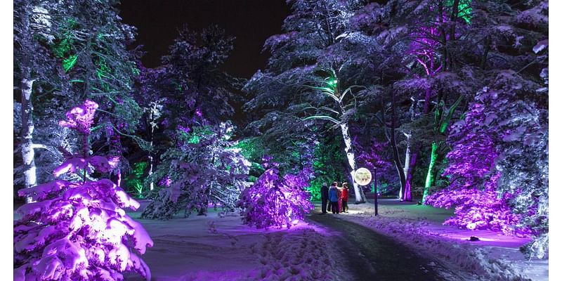 Keep your holidays festive and bright with these local events in the Tourist region