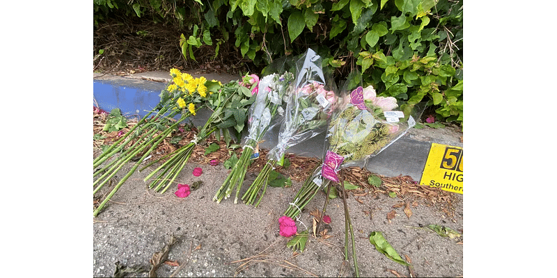 One year after 4 students killed, city of Malibu to discuss PCH improvements