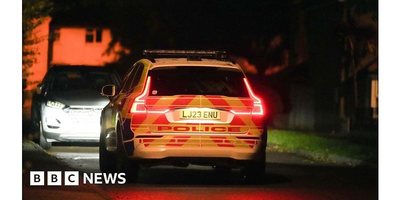 Shoreham: Police shoot man with baton rounds after knife reports