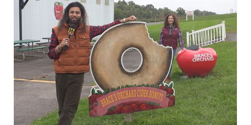 Apple picking at Brace's Orchard | Jeremy's Journeys