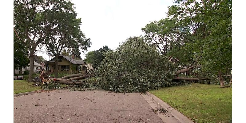 Cleanup continues in St. Paul after strong overnight storms