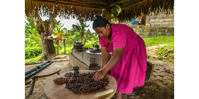 5 of the best culinary experiences to try in Belize